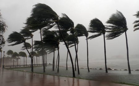 ভাৰতীয় বতৰ বিজ্ঞান বিভাগ, গুৱাহাটীয়ে জাৰি কৰিছে নিৰ্দেশনা