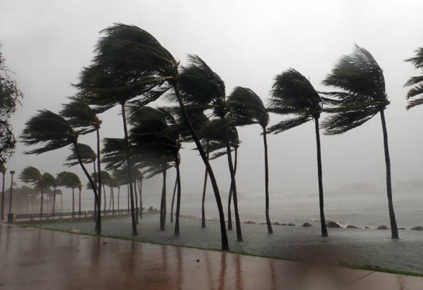 ভাৰতীয় বতৰ বিজ্ঞান বিভাগ, গুৱাহাটীয়ে জাৰি কৰিছে নিৰ্দেশনা