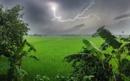 আজি ২৯ মে'ৰ দিনাখন গুৱাহাটীৰ বতৰ
