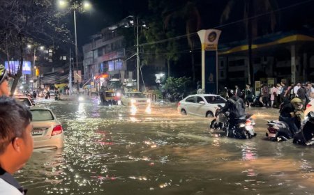 কৃত্ৰিম বানৰ কবলত মহানগৰী গুৱাহাটী