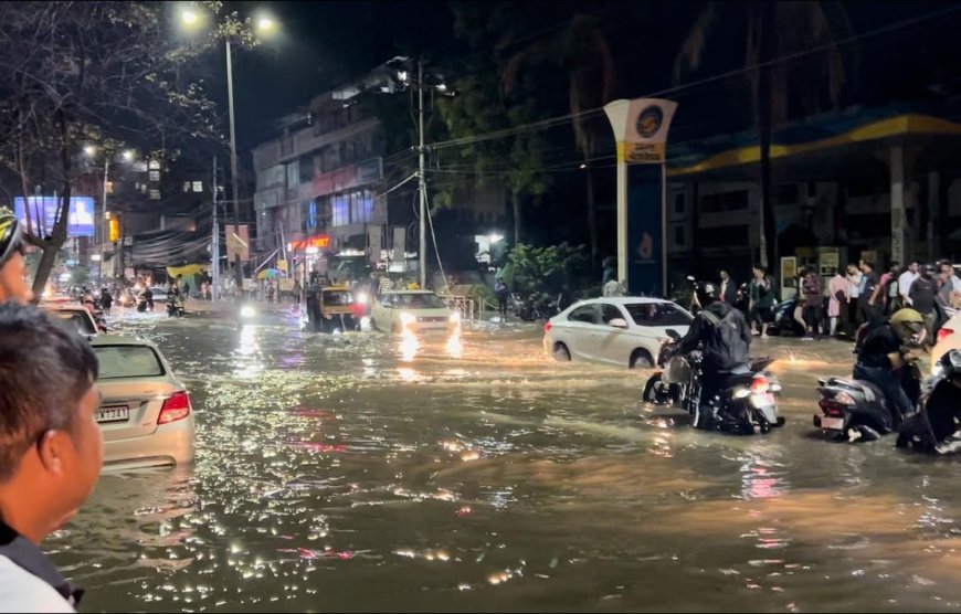 কৃত্ৰিম বানৰ কবলত মহানগৰী গুৱাহাটী