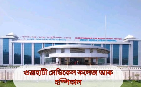 জিএমচিএইচ কাণ্ডত জড়িত থকা চিকিৎসক, নাৰ্ছ তথা স্বাস্থ্যকৰ্মীক নিলম্বন