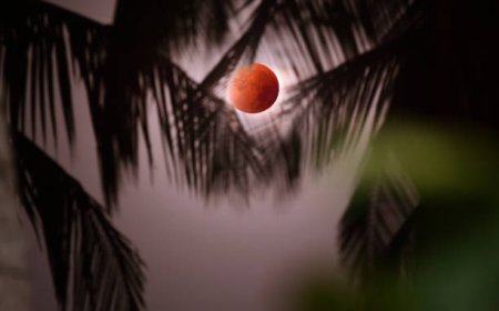 What should and should not be done during a lunar eclipse