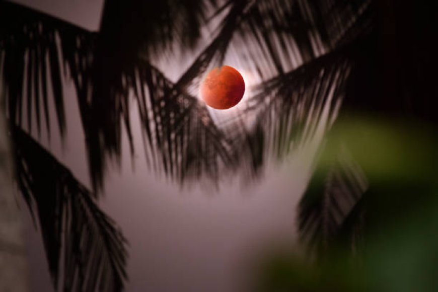 What should and should not be done during a lunar eclipse