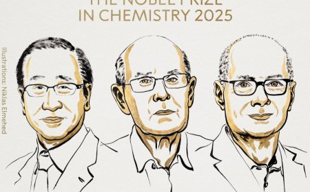 The Nobel Prize 2025 in Chemistry was awarded to Susumu Kitagawa, Richard Robson and Omar M Yaghi