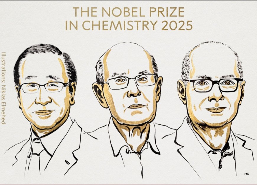 The Nobel Prize 2025 in Chemistry was awarded to Susumu Kitagawa, Richard Robson and Omar M Yaghi