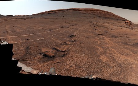 NASA’s Curiosity Mars Rover Discovers Field of Honeycomb Textures